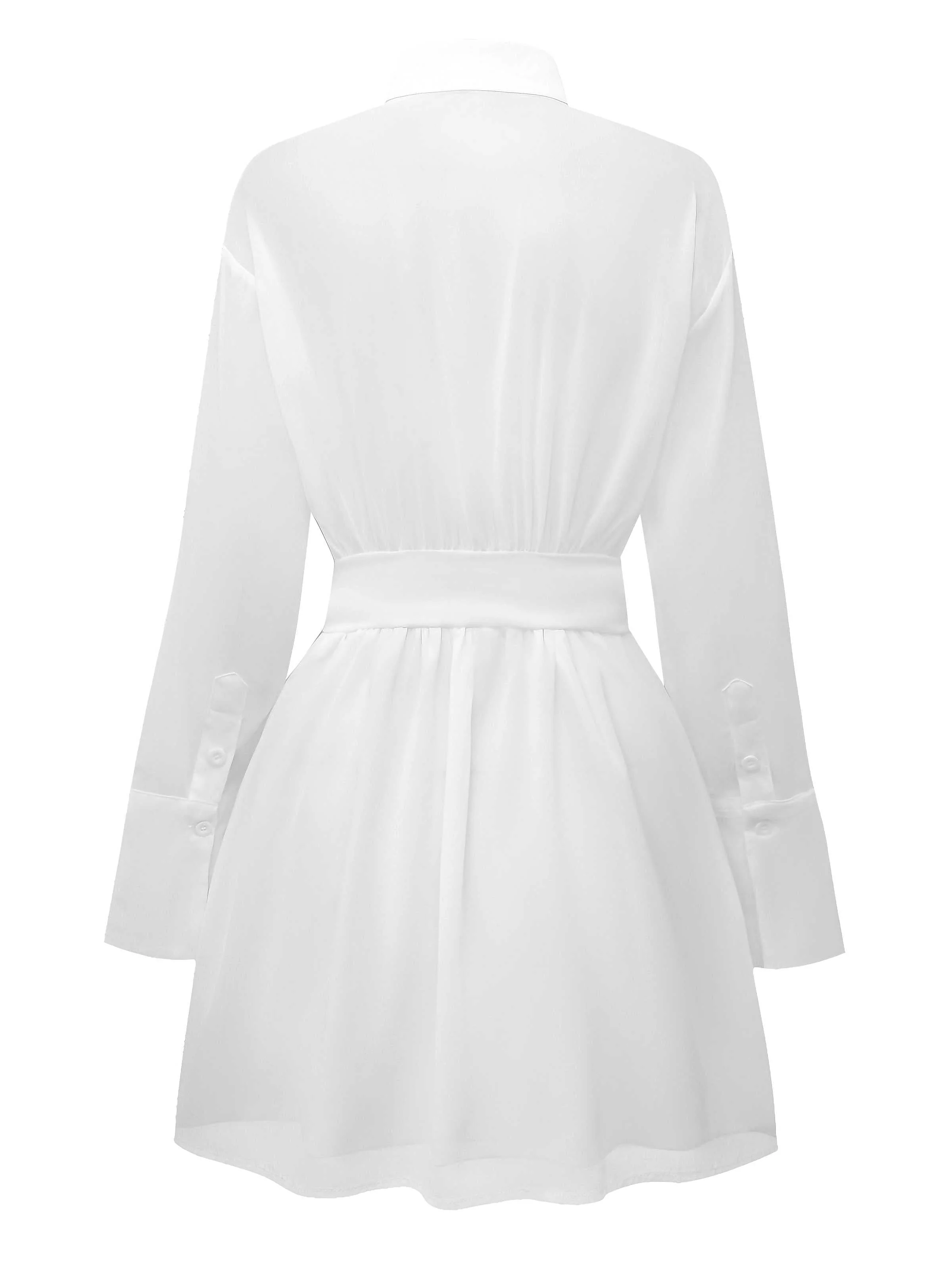Robe chemise transparente manches longues des années 1970 - Image 4